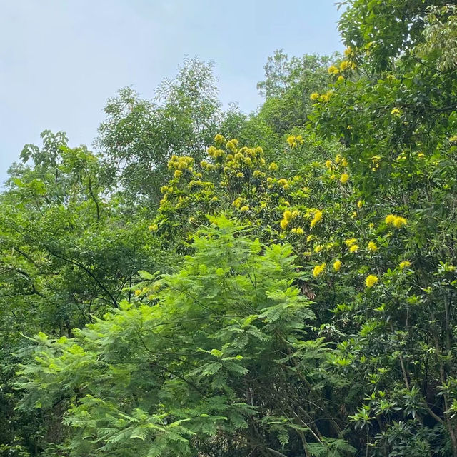 役政公園～綠洲中的湖光山色～寧靜放鬆