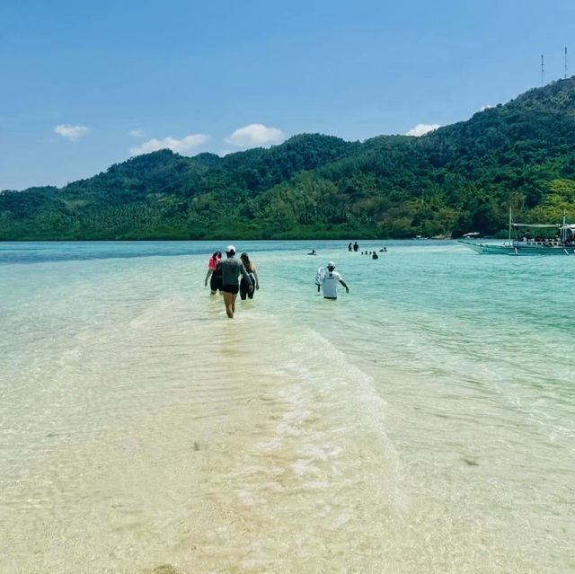 Discovering the Wild Beauty of Snake Island 🏝️ 
