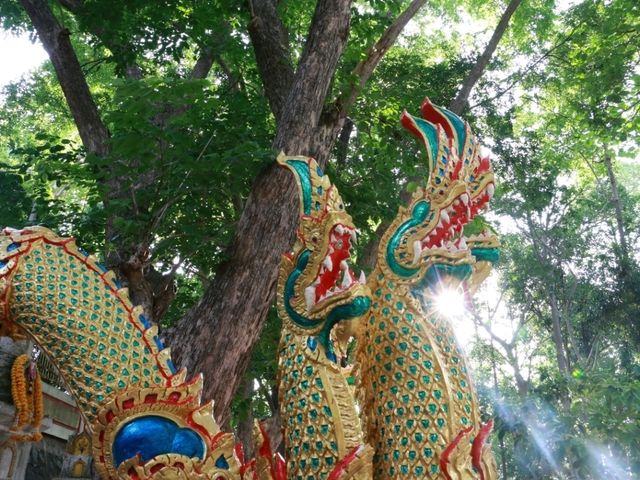 เที่ยววัดคีรีภาวนาราม