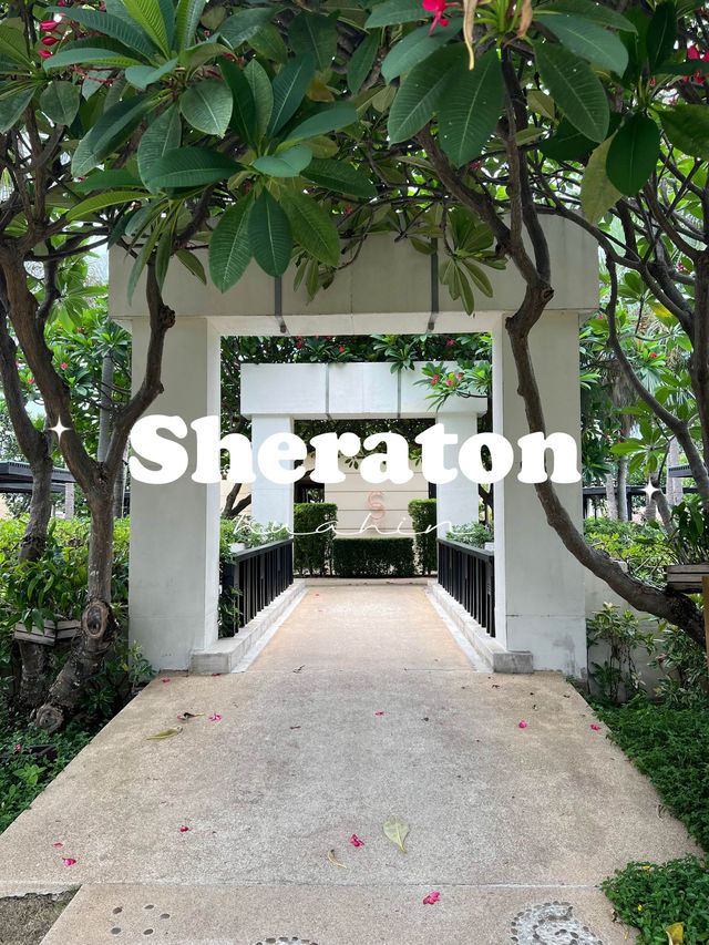 Sheraton Huahin Resort and Spa ที่พักหัวหิน