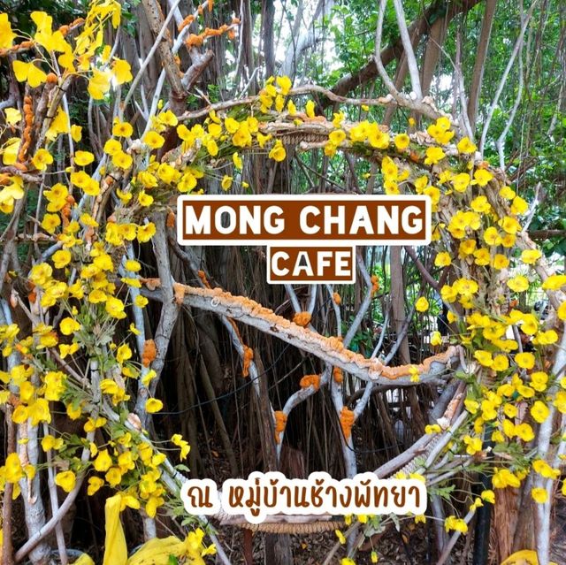 คาเฟ่ที่ทุกคนต้องมา...มองช้าง คาเฟ่