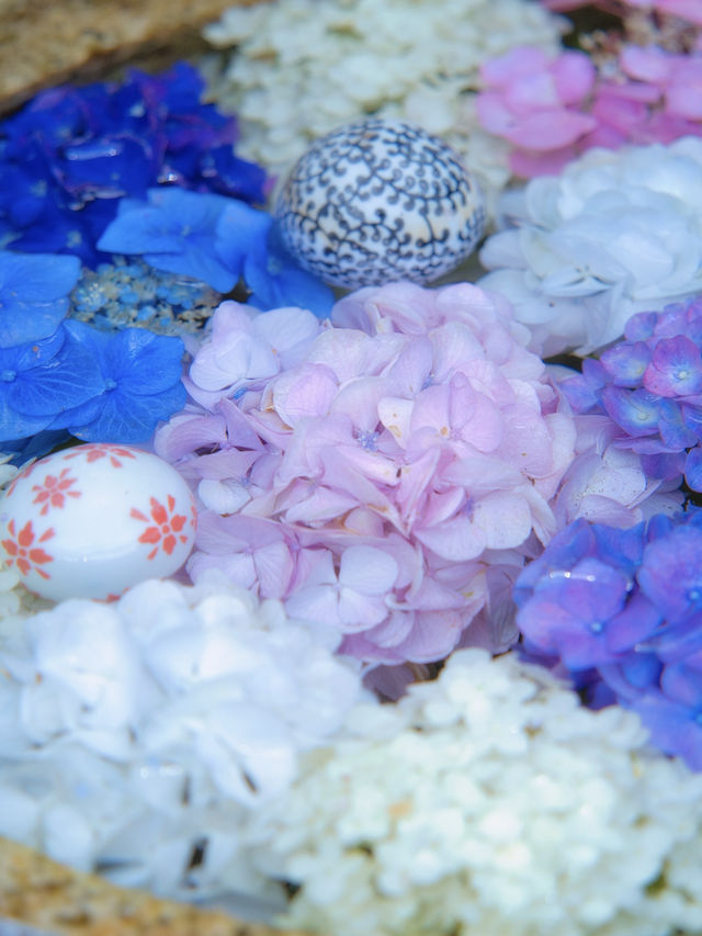 【愛知】ここも無料⁉️そして穴場‼️複数の綺麗な花手水が出迎えてくれるスポット✨