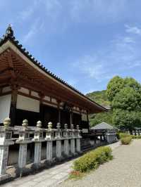 【奈良】桜の名所は新緑も美しい