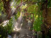 คาเฟ่และร้านอาหารใจกลางกรุง บรรยากาศสวนป่า 🌳🌳