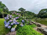 日本東京-靜謐清幽的名石山水園邸：清澄庭園
