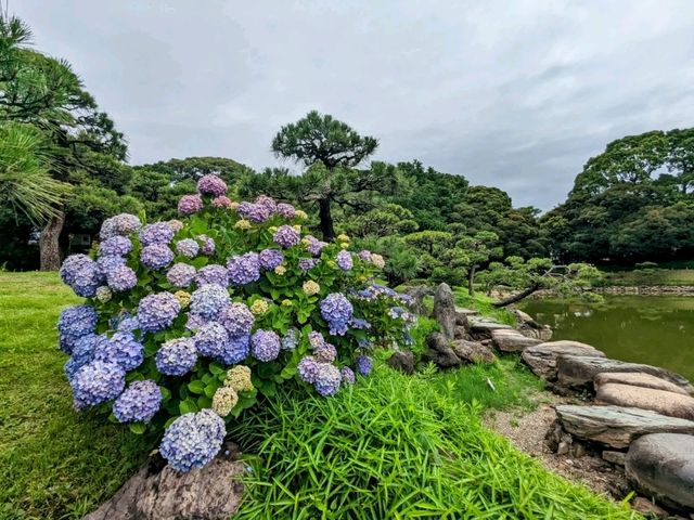 日本東京-靜謐清幽的名石山水園邸：清澄庭園