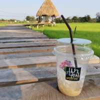 🍯เมากาแฟ คาเฟ่กลางทุ่งนา
