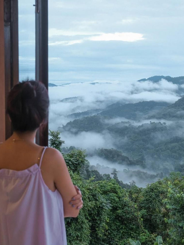 Misty Forest 🌳บ้านป่าหมอก ที่พักท่ามกลางสายหมอก 