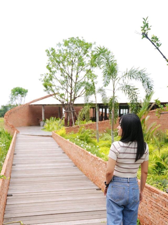 NAYA Cafe - คาเฟ่กลางทุ่งนาที่อยุธยาเมืองเก่า