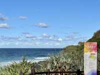 Burleigh