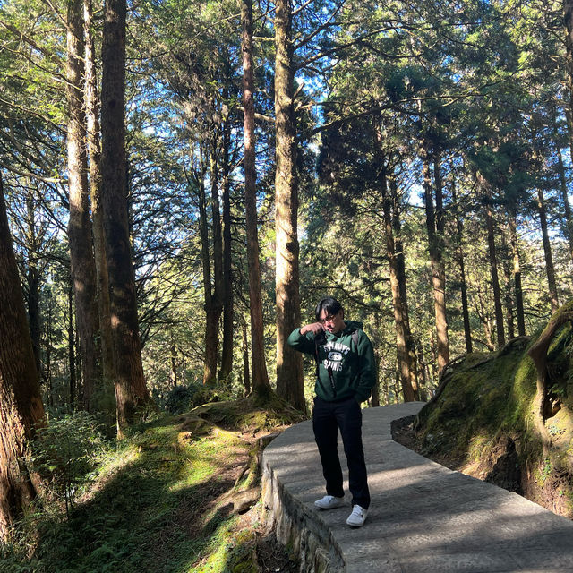 Alishan Taiwan