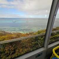 Rottnest island
