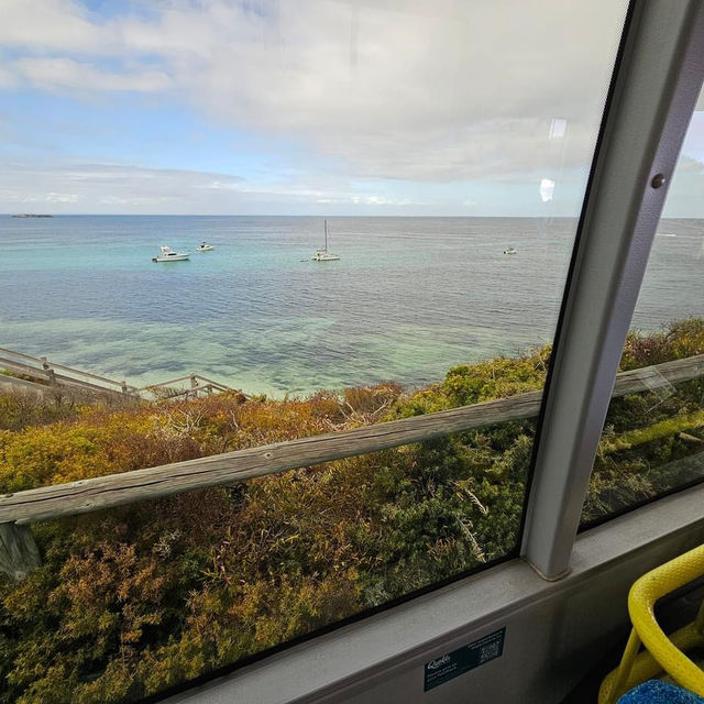 Rottnest island