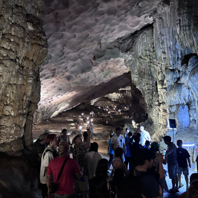 Ha long bay🏞️ One day trip! Ha long bay🏞️ One day trip!