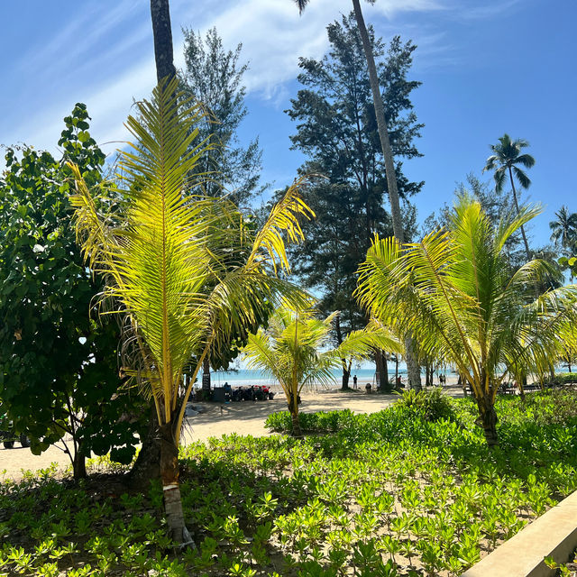 Roxy Sematan Gateaway