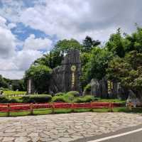 The gray and green forest -Kunming Stone Forest