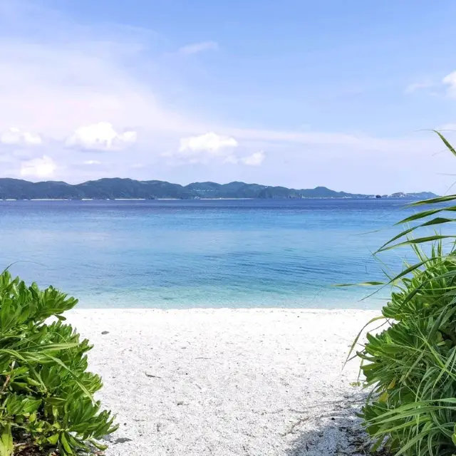 【자마미섬】케라마 블루의 바다와 석양.