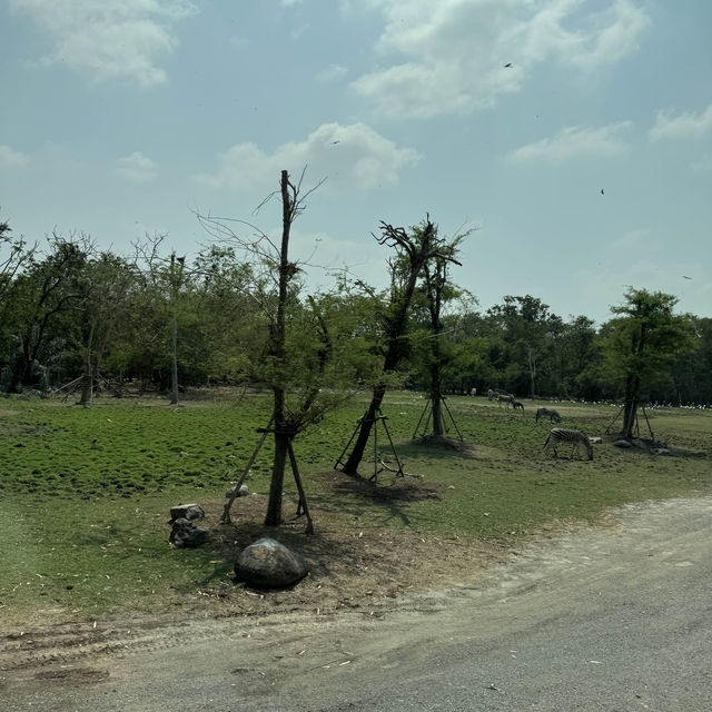 **標題：曼谷Safari World動物園遊玩全攻略**