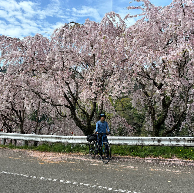 四國遍路+瀨戶內海單車遊