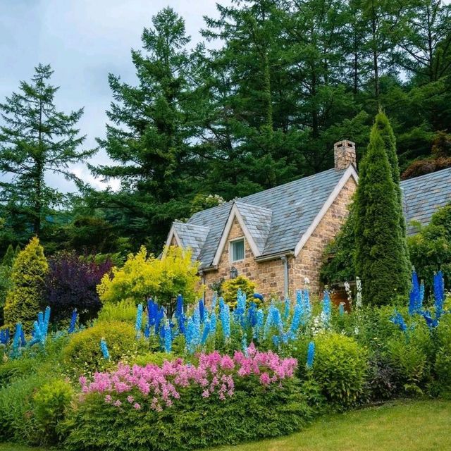 Uncover Seoul's Hidden Beauty 🇰🇷🌿