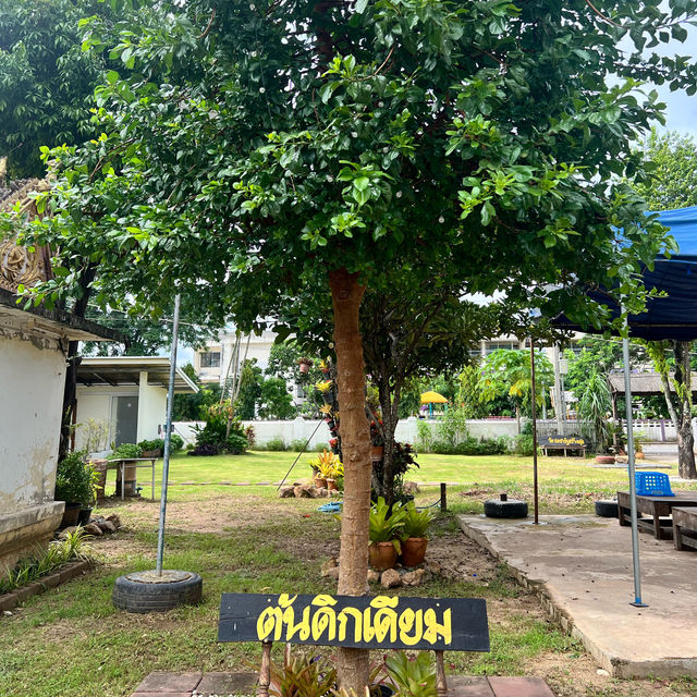 นั่งรถรางชมเมืองน่าน
