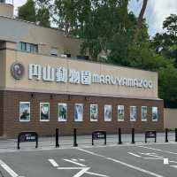 圓山（円山）動物園-交通方便，值得參觀的親子景點