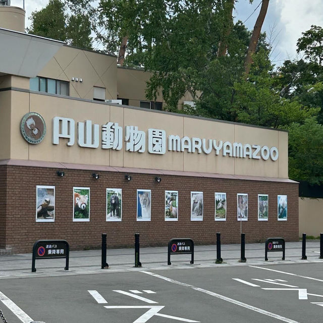 圓山（円山）動物園-交通方便，值得參觀的親子景點