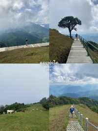 7 เส้นทางเดินป่าสำหรับมือใหม่ ⛰️🌦️🌳🥾