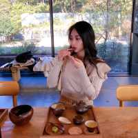 제주도 서귀포에 위치한 오설록 티 뮤지엄!