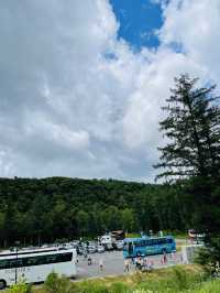 【北海道:美瑛エリア】青の絶景！白金青い池