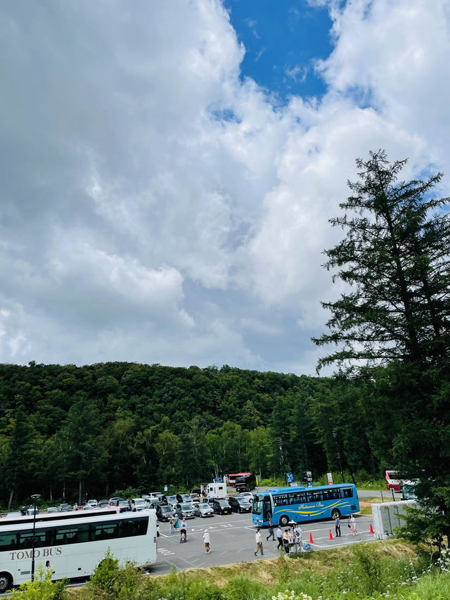 【北海道:美瑛エリア】青の絶景！白金青い池