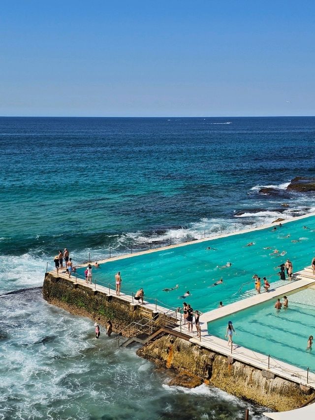 시드니 🇦🇺 많은 사람들이 사랑하는 해변 ⛱️