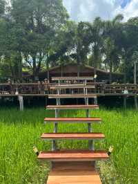 เมตตา คาเฟ่ ร้านอาหารกลางนา เต่างอยสกลนคร
