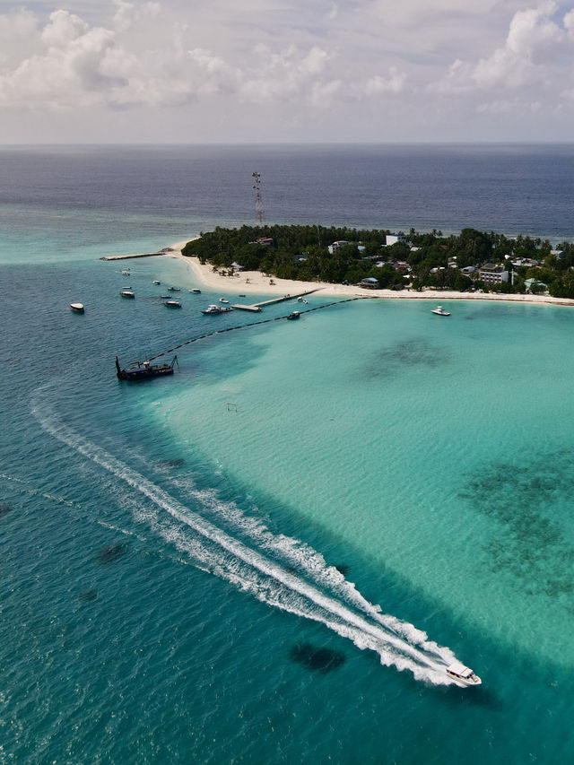 Meet the Stingrays at Fulidhoo Island, Maldives 🏝️