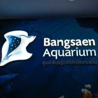 🪼อควาเรียมบางแสน 🐟ศูนย์เรียนรู้โลกใต้ทะเล🐡