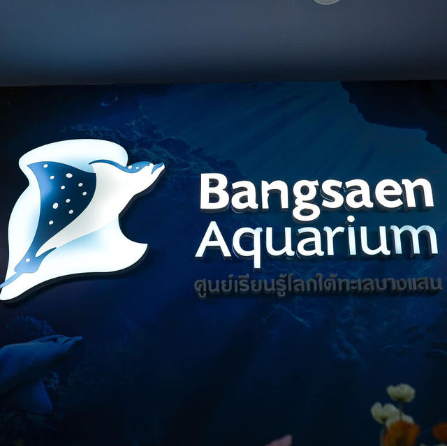 🪼อควาเรียมบางแสน 🐟ศูนย์เรียนรู้โลกใต้ทะเล🐡