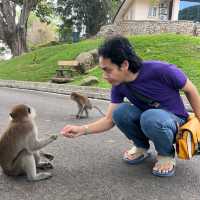 Make new friends 