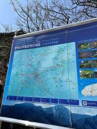 🇰🇷 濟州 韓國最高山漢拿山 🏔️ 最短登山徑⛰️