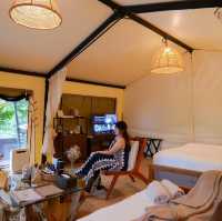 🏕️ที่พักเขาใหญ่แกลมปิ้งสุดไพรเวท Te Mata Glamping