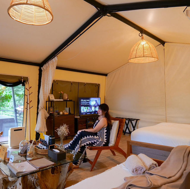 🏕️ที่พักเขาใหญ่แกลมปิ้งสุดไพรเวท Te Mata Glamping