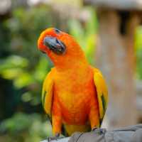 Alpacahill สรรค์ของคนรักสัตว์ที่ราชบุรี