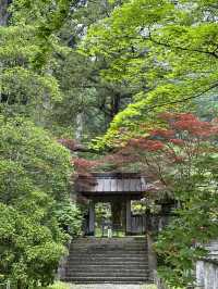 Golden Intricate Temple in Nikko