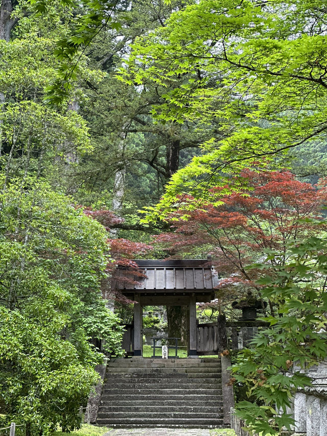 Golden Intricate Temple in Nikko