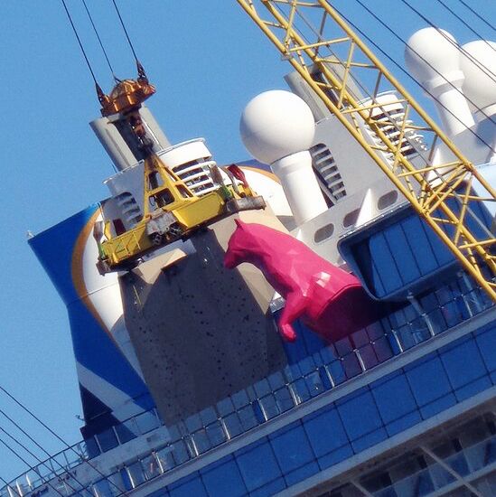 My Favorite Solarium Pool on Cruise to nowhere! 