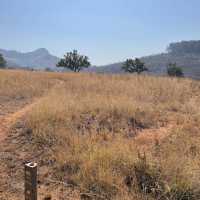 Pedal Through Wildlife in Eswatini’s Best-Kept Secret