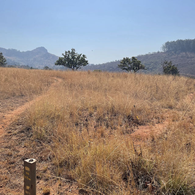 Pedal Through Wildlife in Eswatini’s Best-Kept Secret