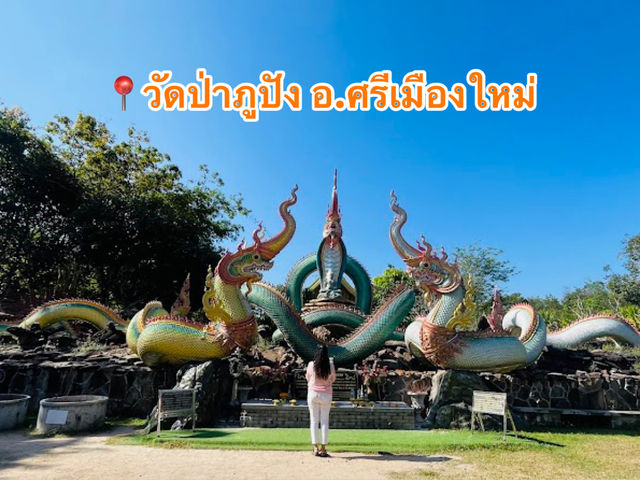 📍วัดป่าภูปัง อ.ศรีเมืองใหม่