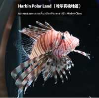 🐧Harbin Polar land 哈爾濱極地公園·極地館 