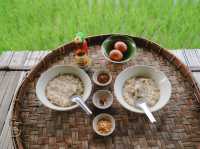 นาขั้นบันได บ้านปางมะโอ  คนละ 650 บาท