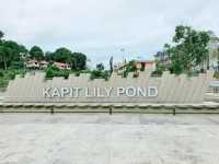 Kapit Lily Pond